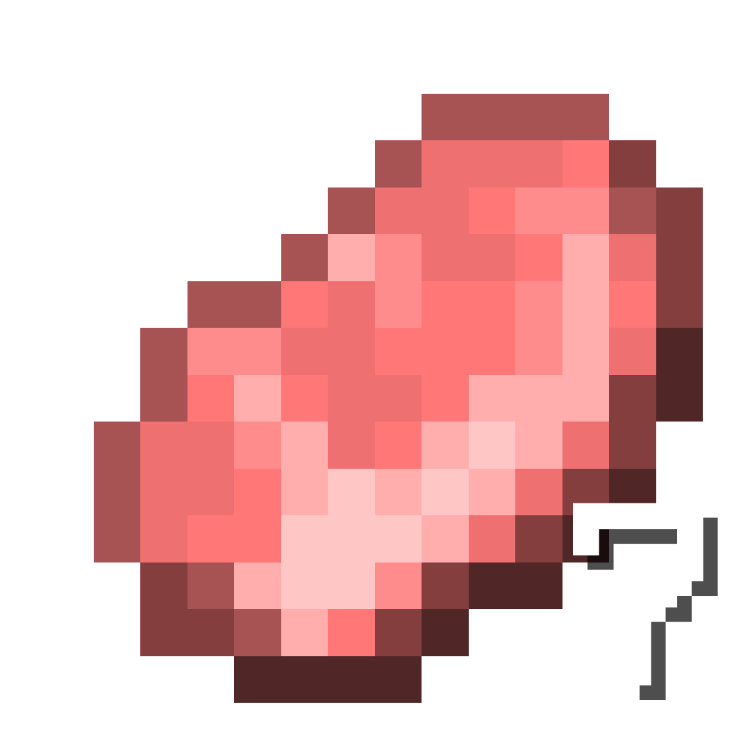 7 Raw Porkchop